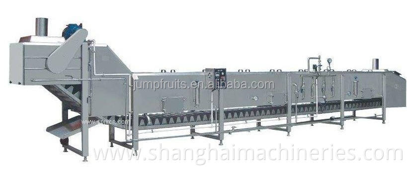 Blanching machine in fruit and vegetable equipments